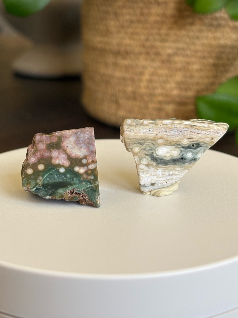Druzy Ocean Jasper Crystal Set - Polished Sea Jasper Bundle